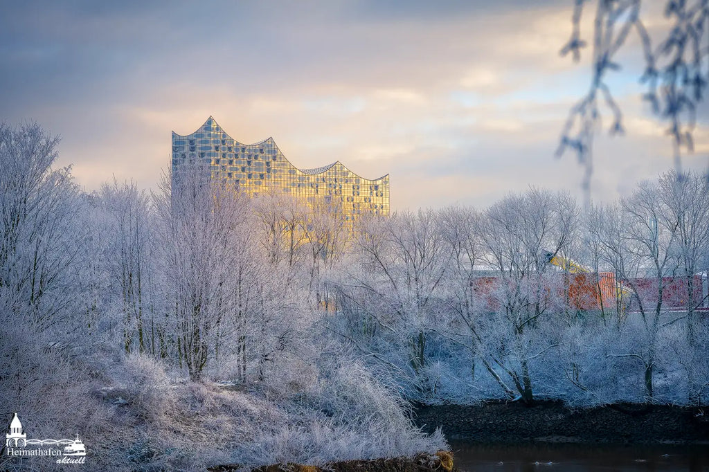 Die Magie des Winters und der Elbphilharmonie