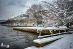 Hamburg Alster Bilder - Binnenalster im Winter