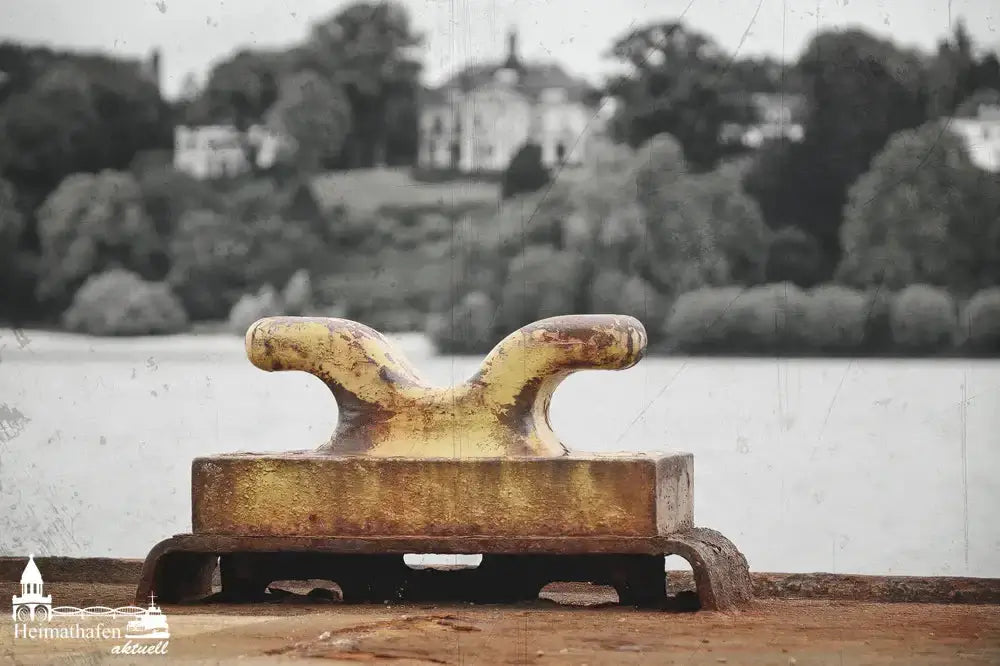 Hamburg Hafen Fotos Bilder Details - Alter Poller am Bubendeyufer