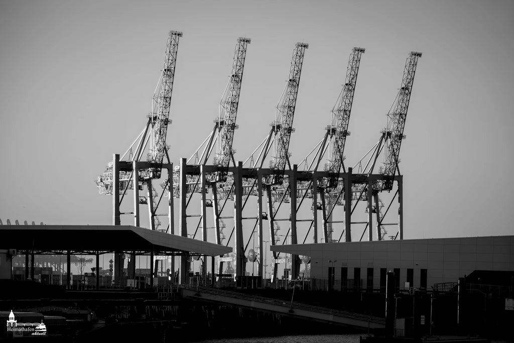 Containerkräne im Hamburger Hafen bei Abendlicht in Schwarzweiß – Industriearchitektur mit klarer Struktur.