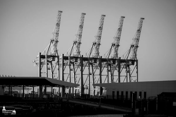 Containerkräne im Hamburger Hafen bei Abendlicht in Schwarzweiß – Industriearchitektur mit klarer Struktur.