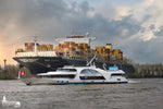 Hamburger Hafen Fotos - Fahrgastschiff FANTASIA und Containerschiff MSC FLAVIA