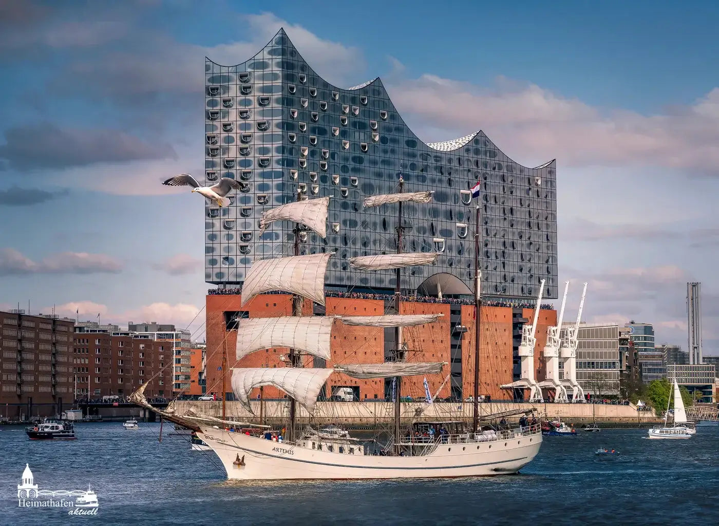 Hamburger Hafen Fotos - Segelschiff ARTEMIS vor Elbphilharmonie