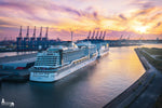 AIDA Kreuzfahrtschiffe am Cruise Terminal Steinwerder bei Sonnenuntergang