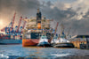 Hamburg Hafenfotos - Hafenschlepper in Steinwerder