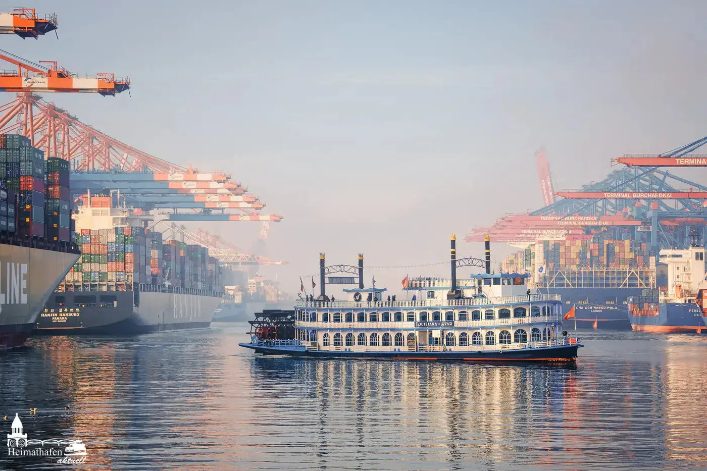 LOUISIANA STAR im Frühnebel zwischen Containerschiffen im Hamburger Hafen