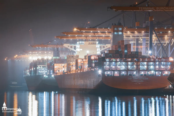 Containerschiffe bei Nacht am Burchardkai im Hamburger Hafen, beleuchtet im Nebel