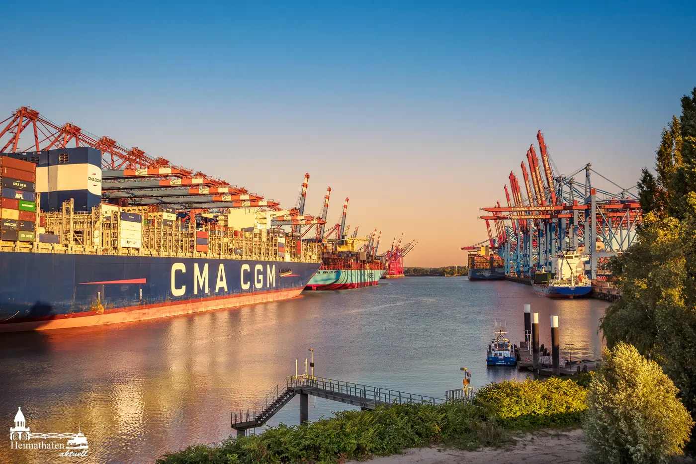 Containerschiffe im Walterhofer Hafen Hamburg bei Sonnenuntergang mit Terminal Burchardkai