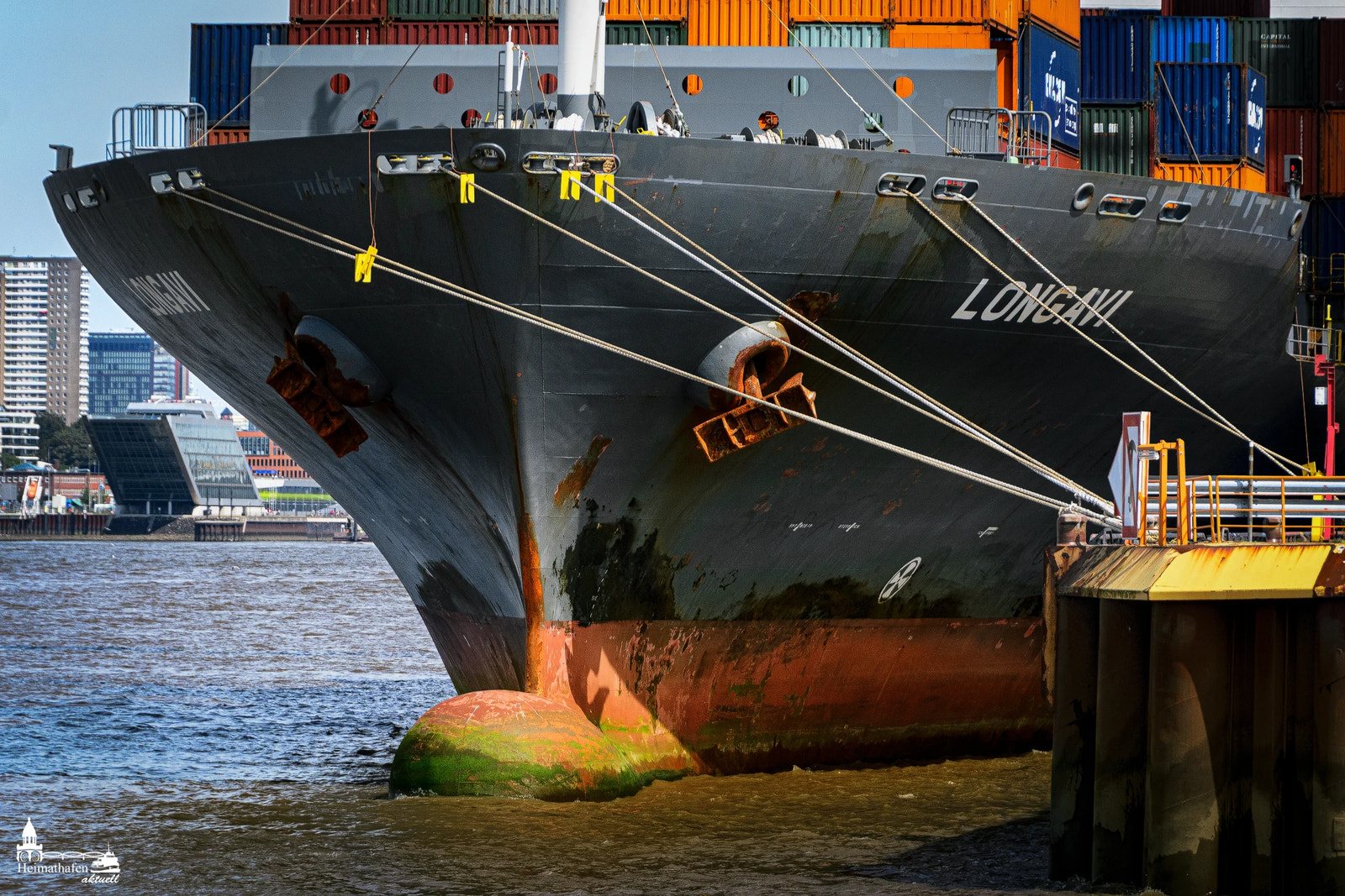 Bugansicht des Containerschiffs LONGAVI mit rostigen Ankerklüsen und Trossen am Liegeplatz in Hamburg.