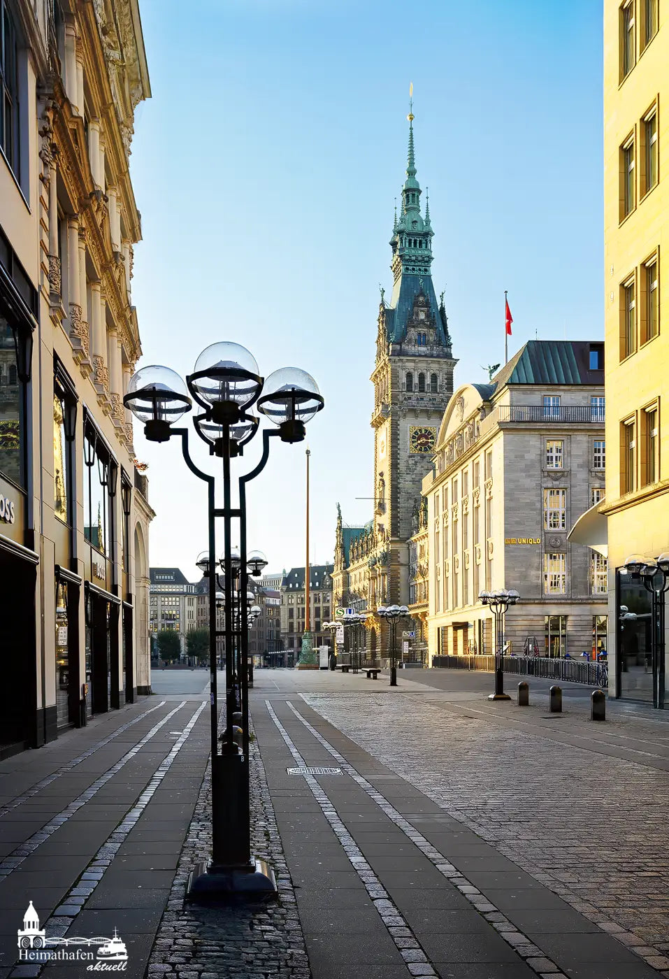 Hamburger Rathaus am Morgen