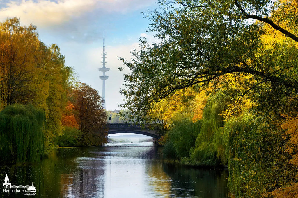 Alsterblick: Fernsehturm im Herbst