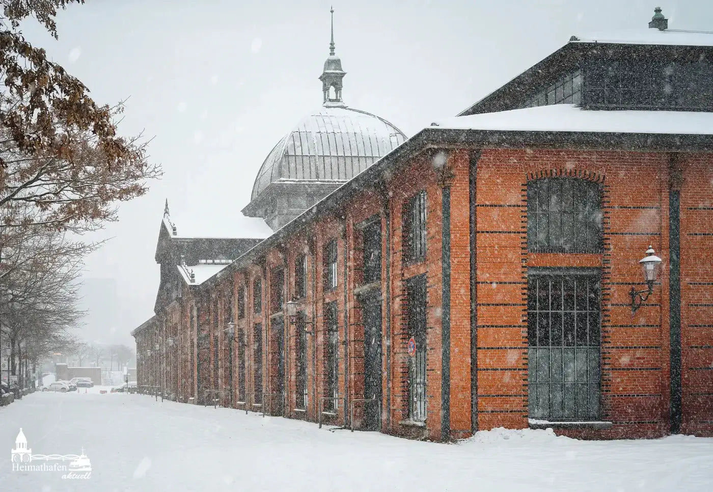 Hamburg Bilder im Winter - Fischauktionshalle im Schneegestöber