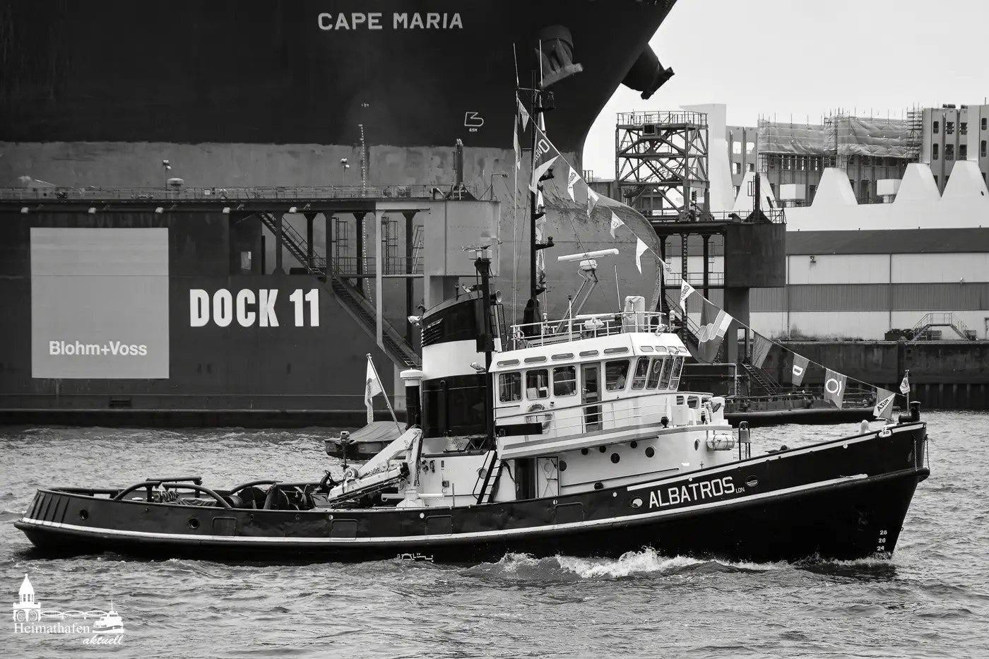 Schlepper Albatros beim Hamburger Hafengeburtstag vor Dock 11