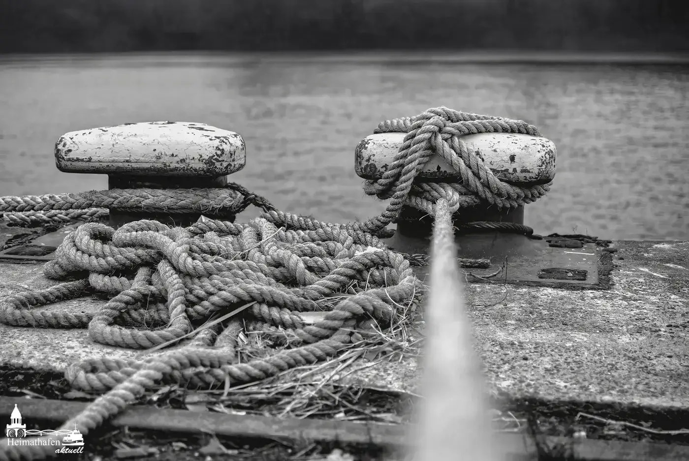 Festmacher mit Tampen am Kai im Hamburger Hafen, Schwarz-Weiß-Aufnahme mit Fokus auf das Seil