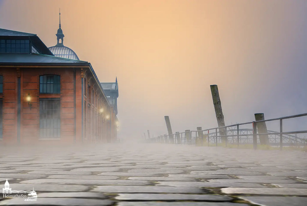 Hamburg-Hafenfotos-HAF-00025-Fischauktionshalle-Nebel-Sonnenauggang